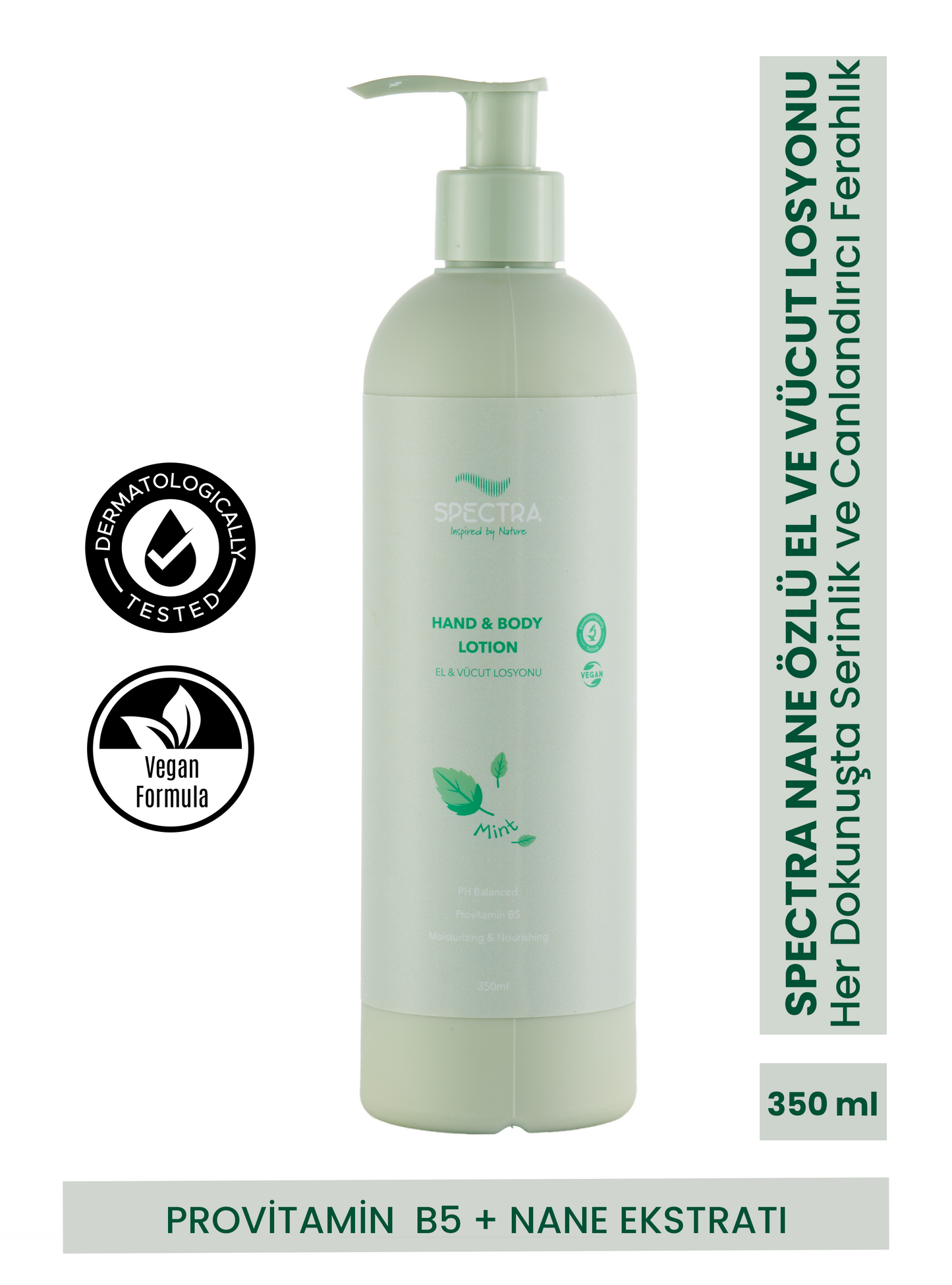 Spectra Care Hızlı Emilen Nane Özlü El ve Vücut Losyonu - 350 ML