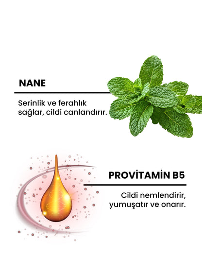 Spectra Care Hızlı Emilen Nane Özlü El ve Vücut Losyonu - 350 ML