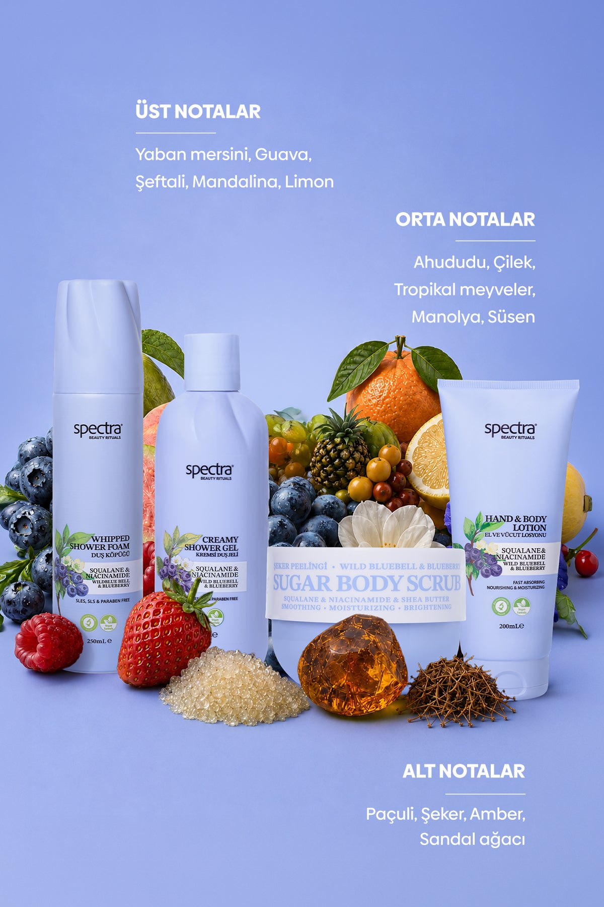Blueberry&Wild Bluebell 4'lü Vegan Bakım Ritüeli Seti  -SLES&SLS&Paraben içermez