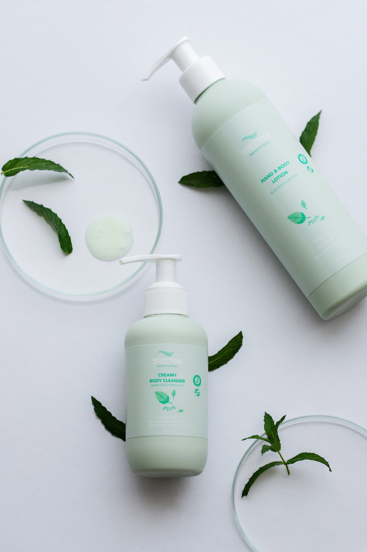 Spectra Care Hızlı Emilen Nane Özlü El ve Vücut Losyonu - 350 ML