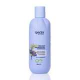 Blueberry & Wild Bluebell Vegan Kremsi Duş Jeli, Nemlendirici ve Arındırıcı 400 ml - 1