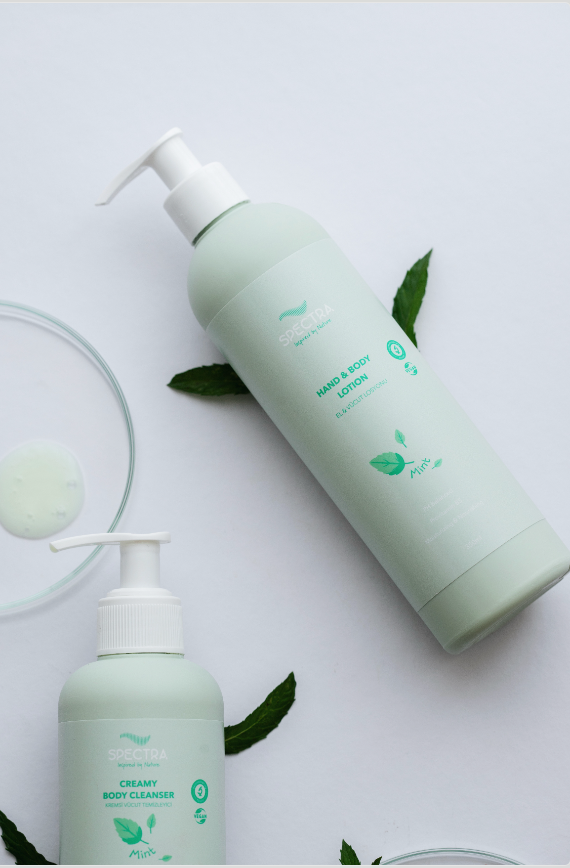 Nane Kokulu Hızlı Emilen Nemlendirici El ve Vücut Losyonu -350 ML