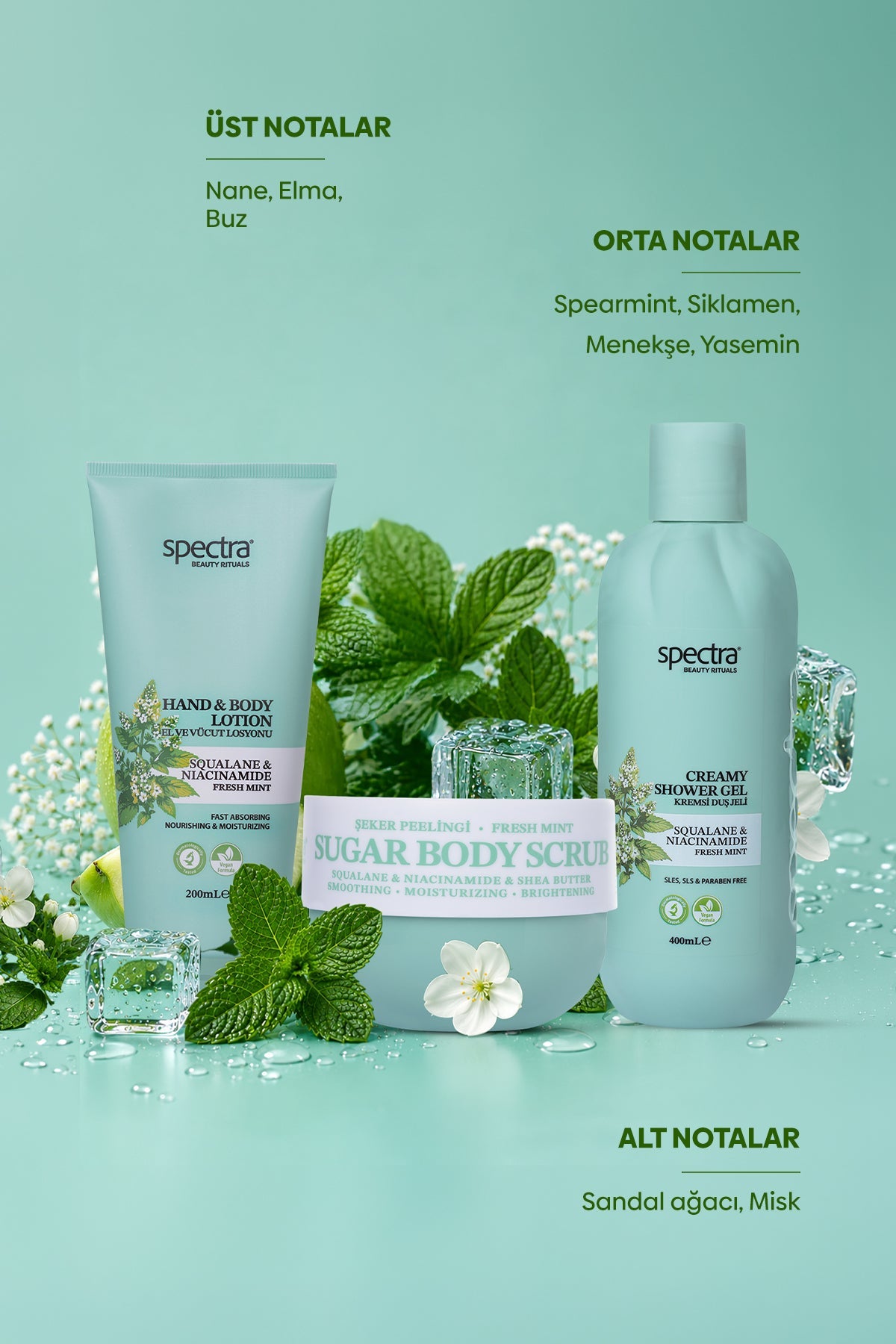 Fresh Mint Nane Kokulu 3'lü Vegan Bakım Seti, Duş Jeli + Şeker Peelingi + Vücut Losyonu - 6