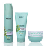 Fresh Mint Nane Kokulu 3'lü Vegan Set, Duş Köpüğü + Şeker Peelingi + Vücut Losyonu - 1